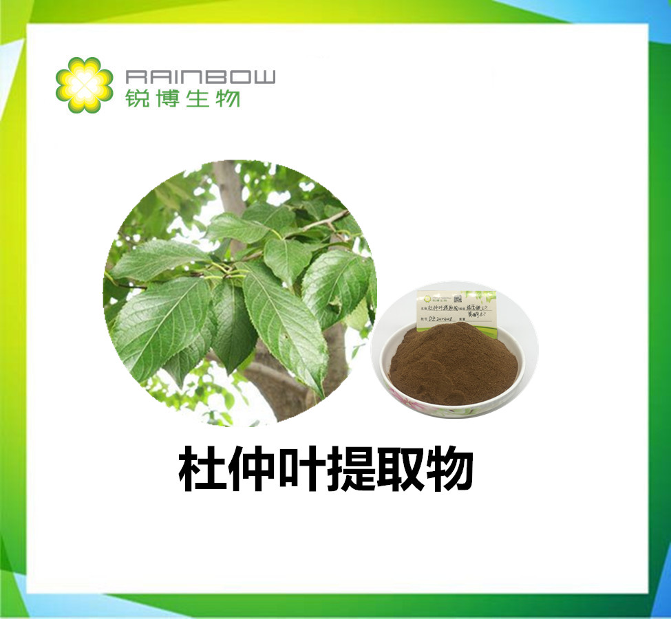 杜仲叶提取物的作用机理