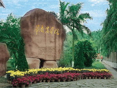 合作客户