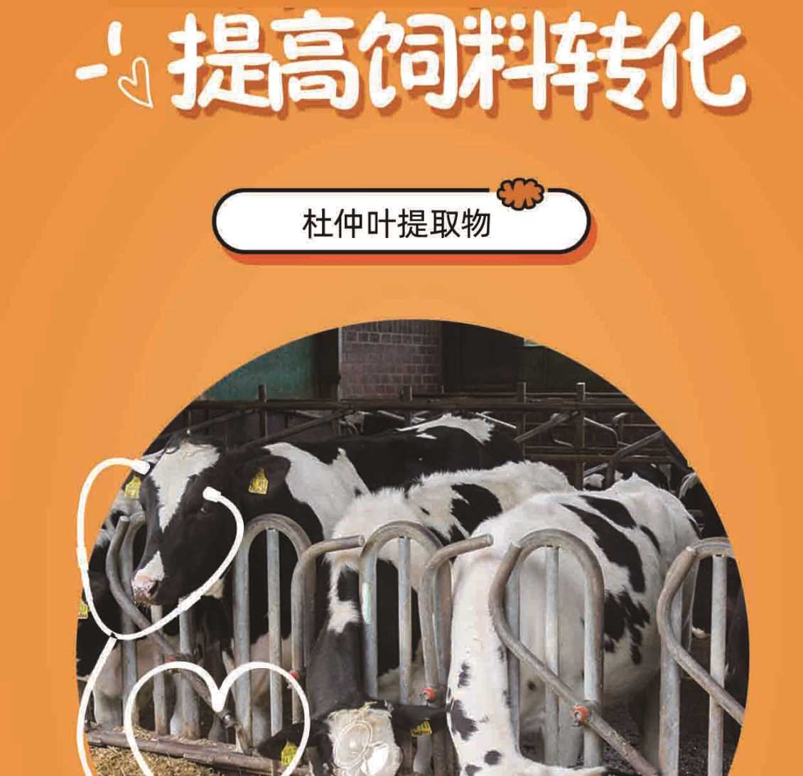 【杜益佳】中药杜仲叶提取物抗菌抗炎，提高饲料利用率