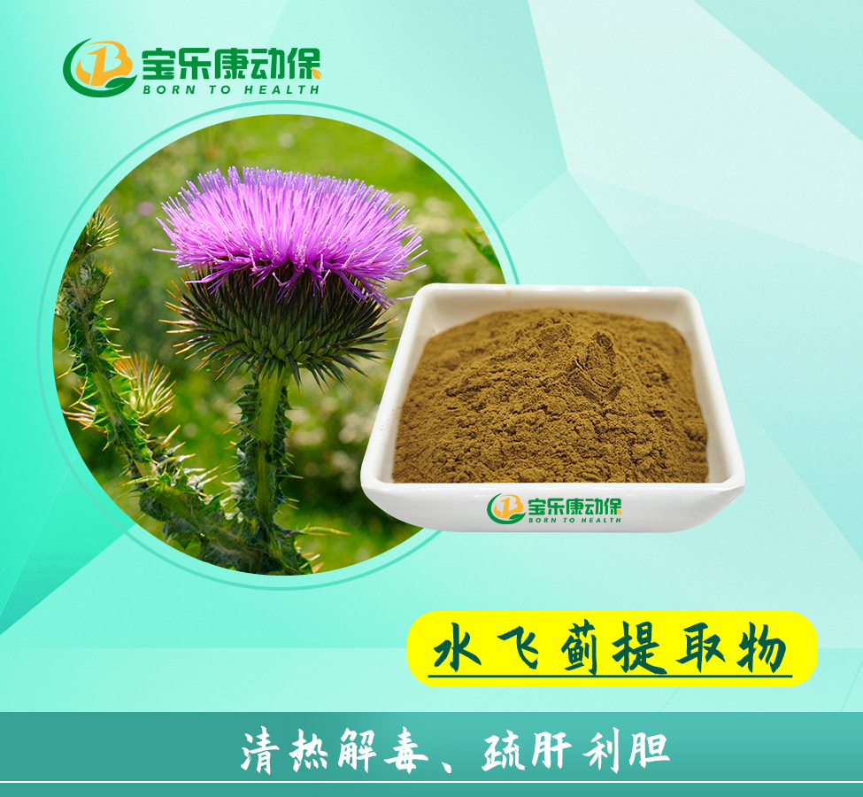 水飞蓟提取物对禽类肝脏的多维防护