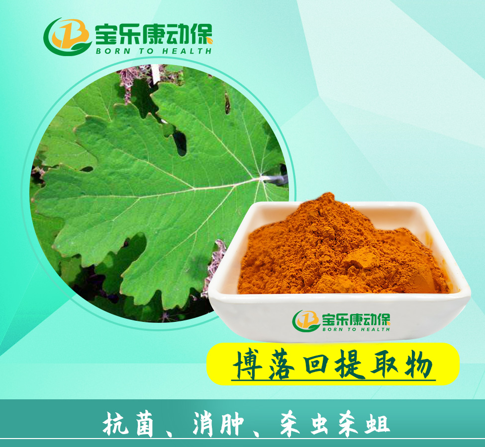 博落回提取物