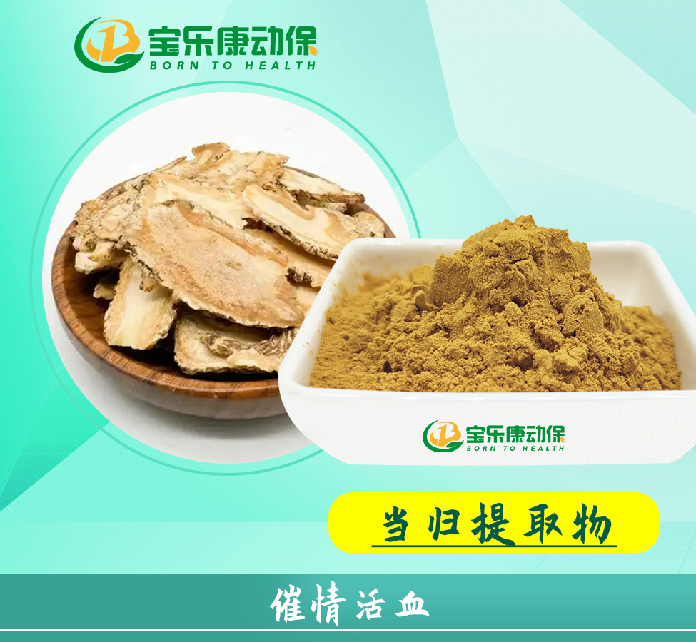 当归粗取物