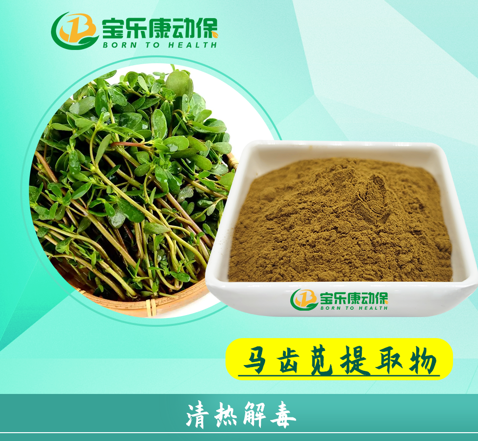 马齿苋提取物