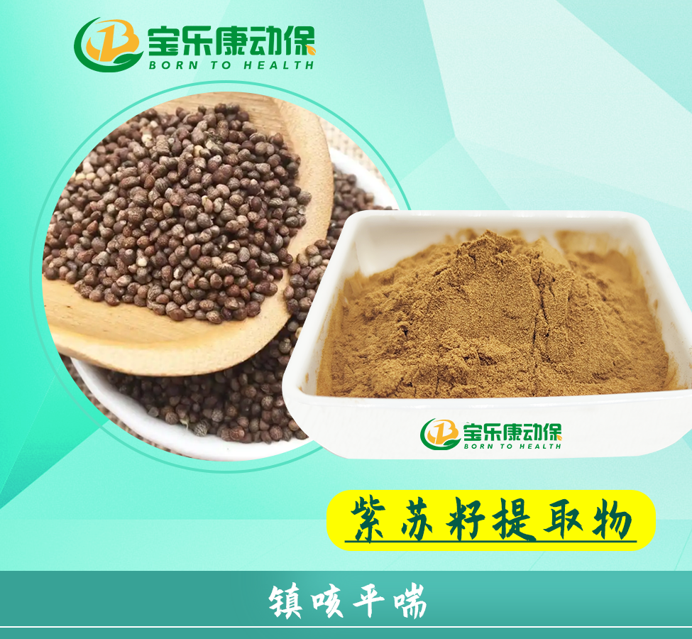 紫苏籽提取物