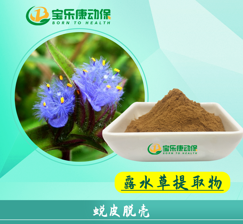  露水草提取物