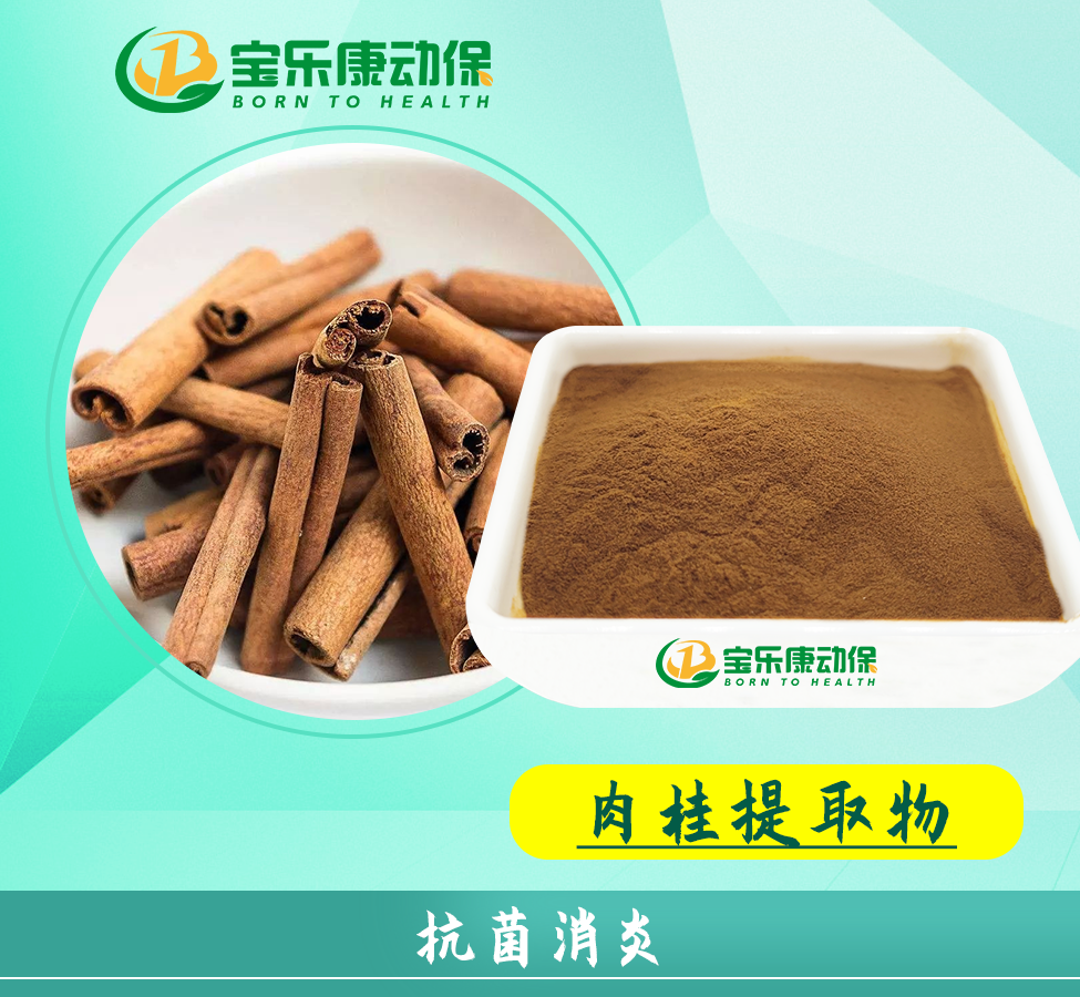 肉桂提取物